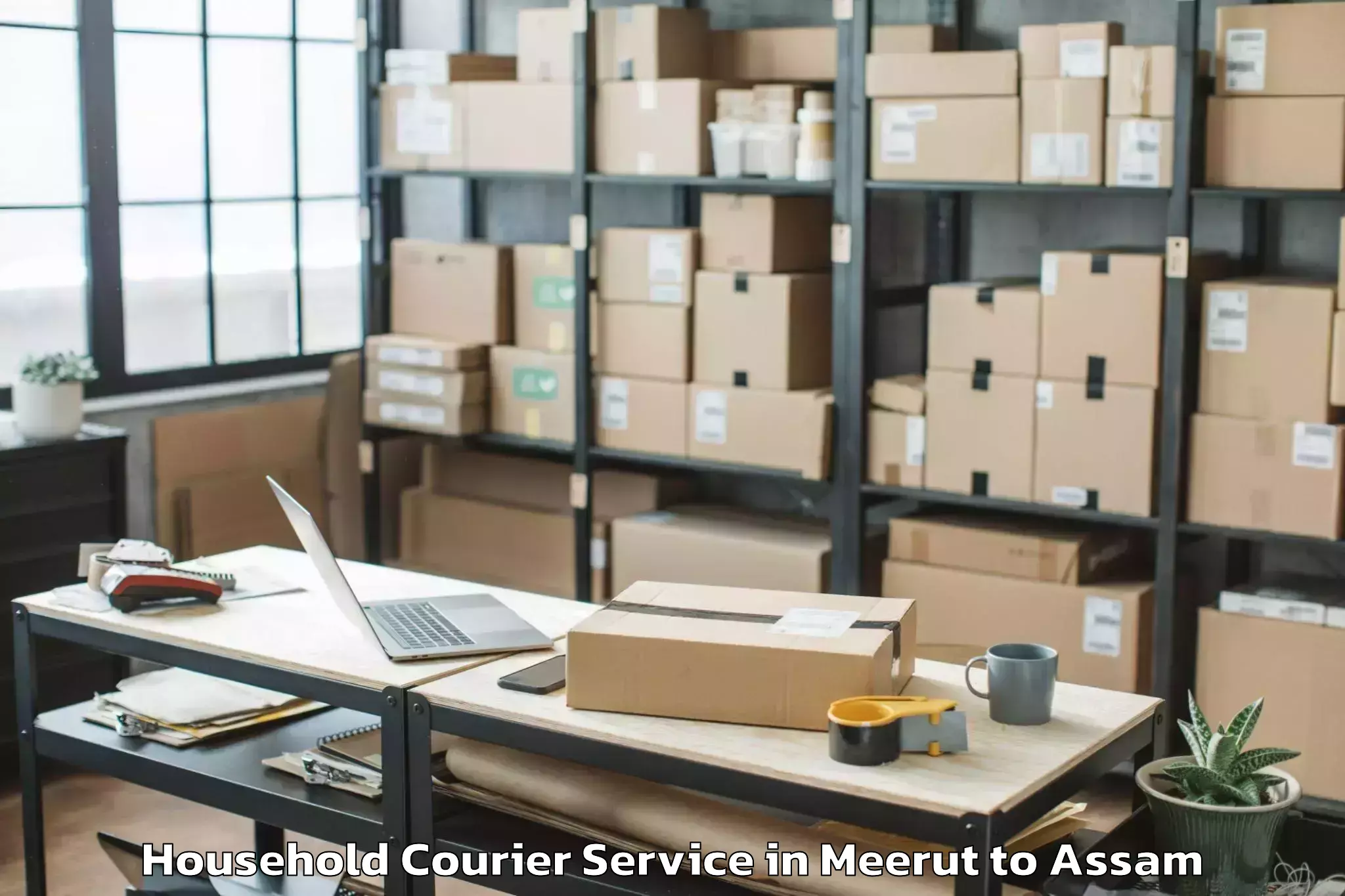 Hassle-Free Meerut to Gohpur Household Courier